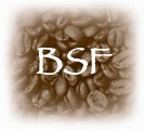 Jakarta BSF